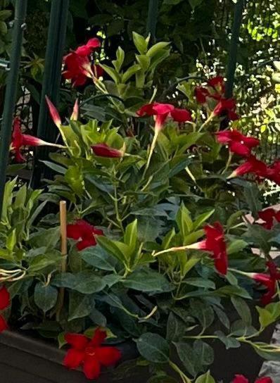Le Fate Umbria Bed & Breakfast Sellano Exterior photo